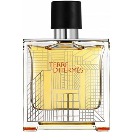 عطر ادکلن هرمس تق هرمس فلاکون اچ ۲۰۲۰ پرفیوم Hermes Terre d’Hermes Flacon H 2020 Parfum