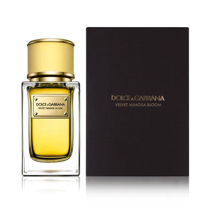 dolce and gabbana velvet mimosa bloom