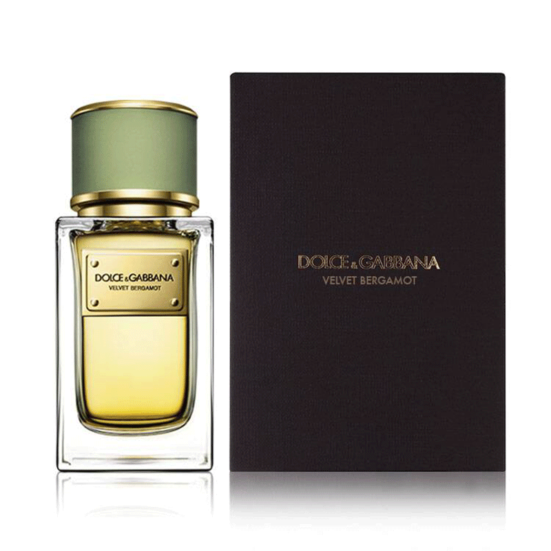 shine dolce gabbana